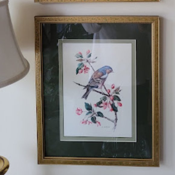 A. Marlin Bird Prints - Picture 6 of 14